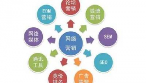 网络推广服务与网络技术服务 赋能企业数字时代发展的双翼